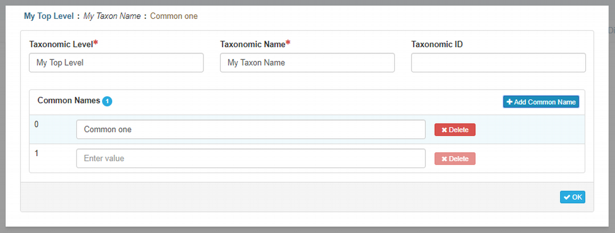 Custom Classification Edit Window